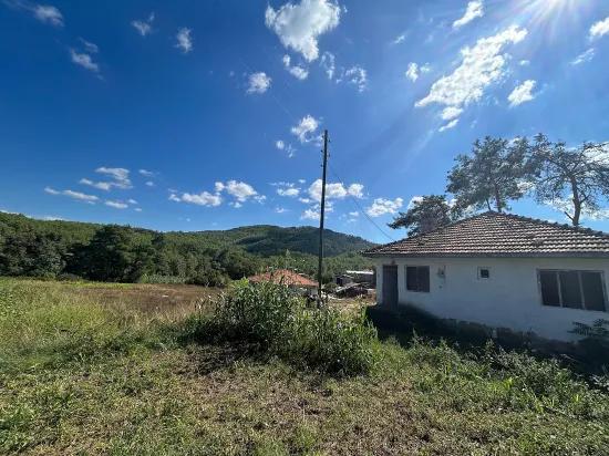 Muğla Köyceğiz Pınar Köyde 1.675 M2 Satılık Tarla