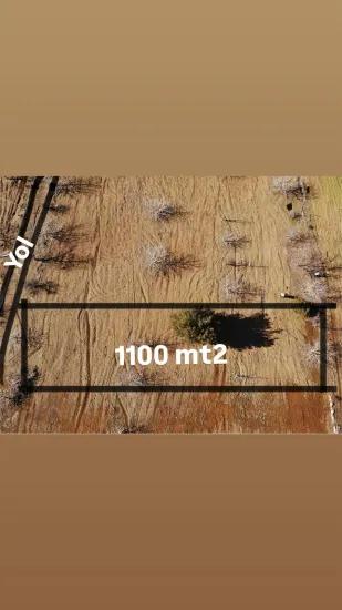 Köyceğiz Çövenli Yaylasında 1.100 M² Satılık Tarla
