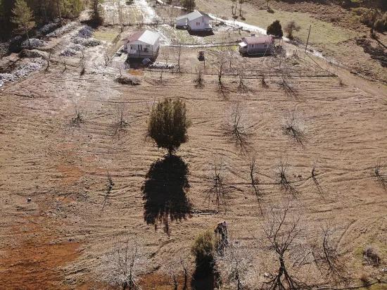 Köyceğiz Çövenli Yaylasında 1.100 M² Satılık Tarla