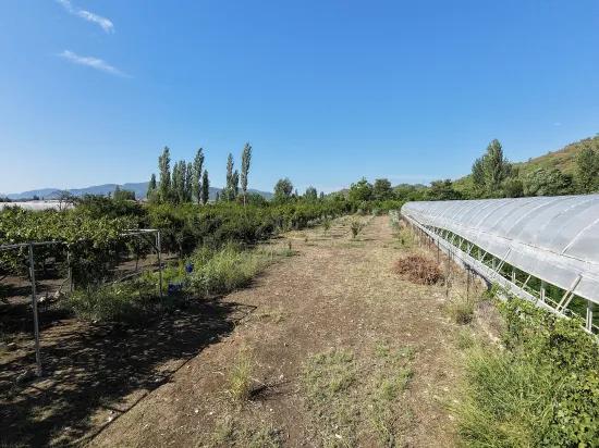 Ortaca Çaylı da 1.870 M2 Satılık Tarla, Elektrik ve Su Mevcut