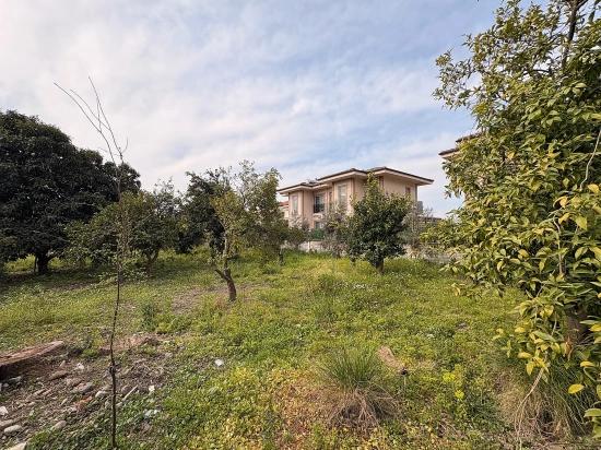 Muğla Köyceğiz Gelişim Mah. 600 M2 Tek Tapu İmarlı Arsa