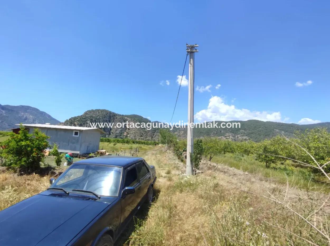 Ortaca Mergenli Mahallesinde 10.840 M2 Tarlamız Satılıktır