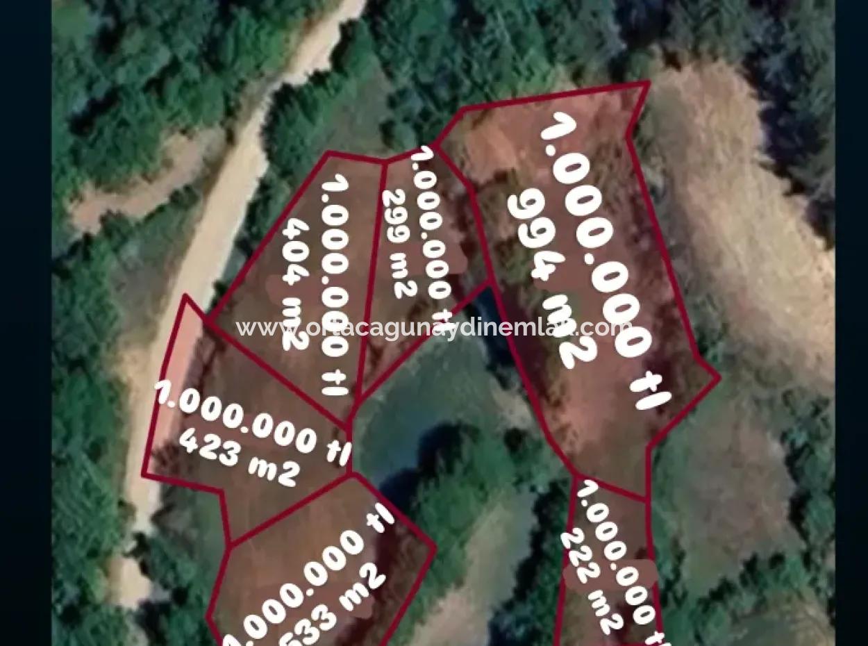 Denizli Tavasta 994 M2 Tek Tapu Satılık Bahçe