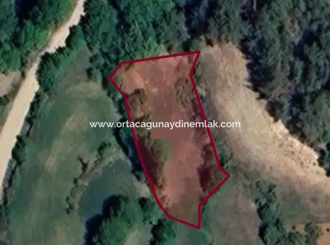 Denizli Tavasta 994 M2 Tek Tapu Satılık Bahçe