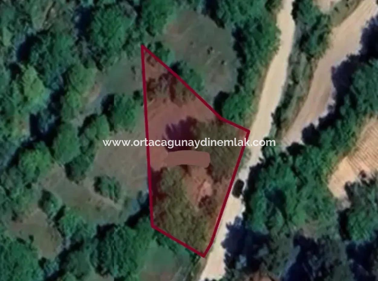 Denizli Tavasta 828 M2 Tek Tapu Satılık Tarla