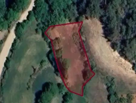Denizli Tavasta 994 M2 Tek Tapu Satılık Bahçe
