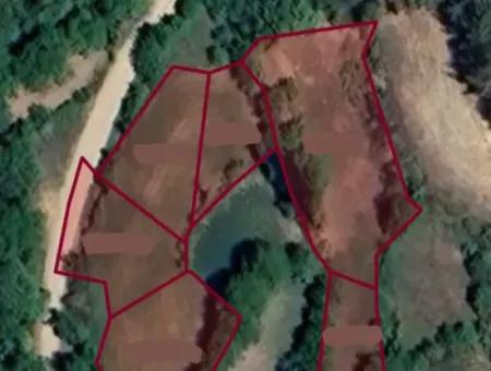 Denizli Tavasta 994 M2 Tek Tapu Satılık Bahçe