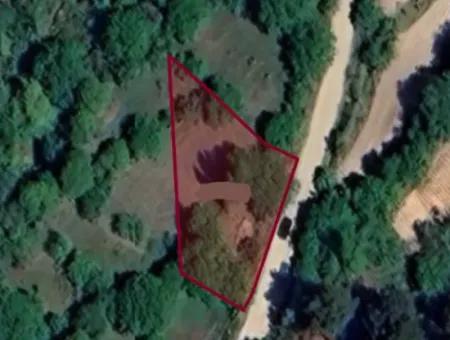 Denizli Tavasta 828 M2 Tek Tapu Satılık Tarla