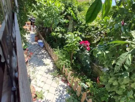 Ortacada Geniş Müstakil Tadında 2+1 Satılık Daire