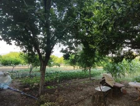 Dalaklı Mahallesinde 1+1 Eşyalı Kiralık Daire