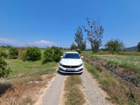 Günaydın Emlak'tan Ortaca Güzelyurtda 8.000 M2 Hisseli Satılık Tarla