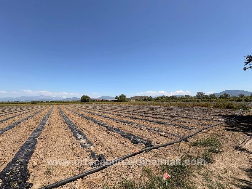 Ortaca Fevziye Mah. Satılık Tarla - Tarla İmar Durumlu - 6.006 m²
